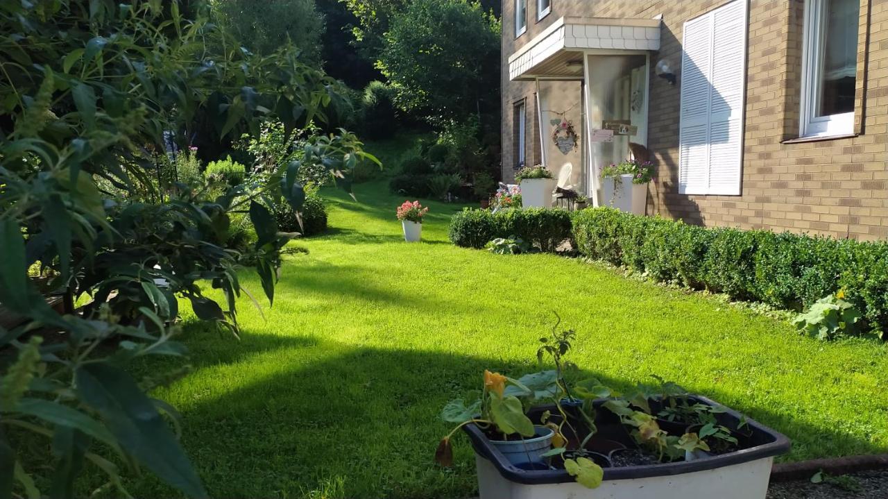 Fewo Im Gruenen Osterode am Harz Kültér fotó