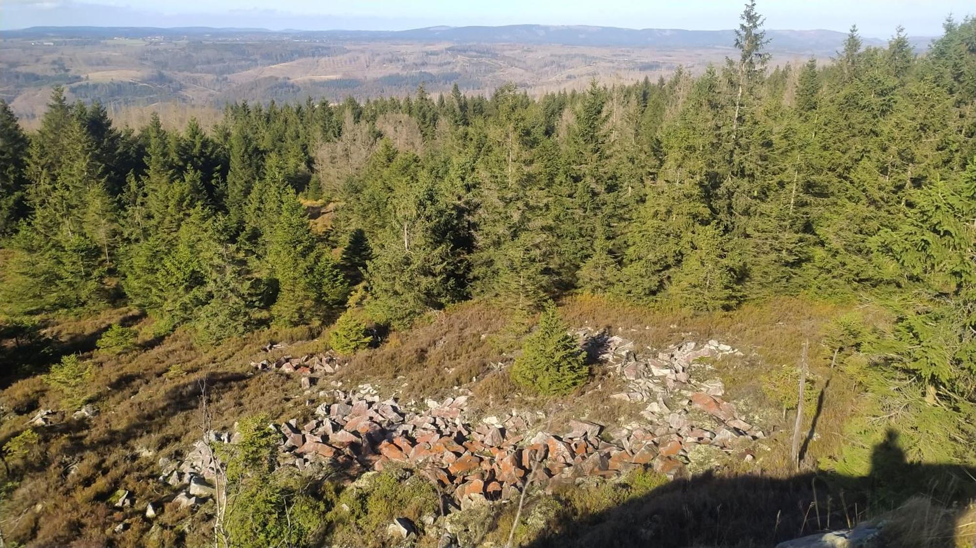 Fewo Im Gruenen Osterode am Harz Kültér fotó